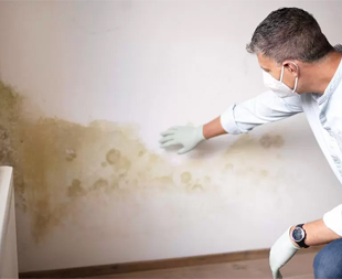 Dampness Repair Service